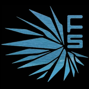 Foreign System Logo